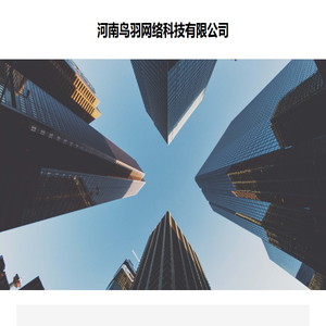 关于河南鸟羽网络科技有限公司