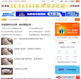 猪易网