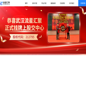 武汉流星汇聚电子商务有限公司
