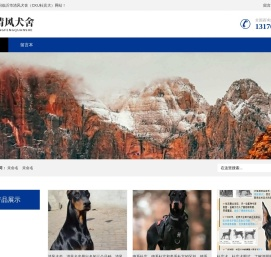 临沂清风犬舍（CKU杜宾犬）