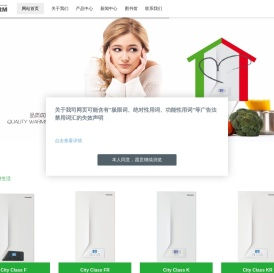 原装进口意大利燃气壁挂炉