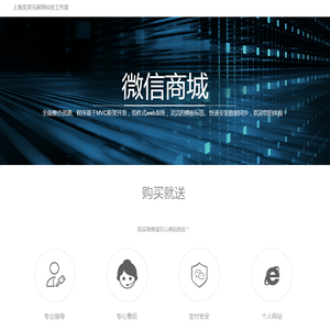 上海圣淇元网络科技工作室