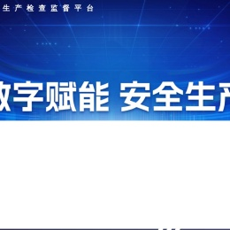 安全生产检查监督平台