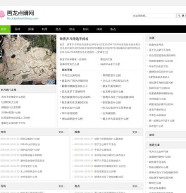 画龙点睛网