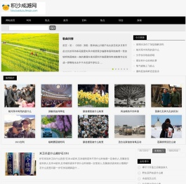 积沙成滩网