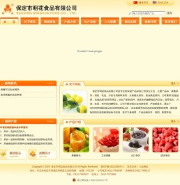 保定市明花食品有限公司