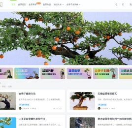 逸林盆景网