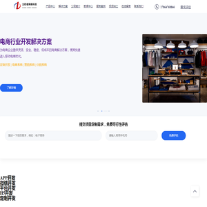 软件开发