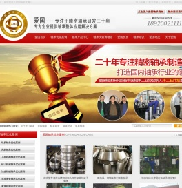 轴承优化,轴承品牌,替代进口轴承,轴承优化案例,轴承批发,瓦房店爱国轴承研究院有限公司