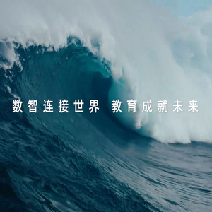 新道科技