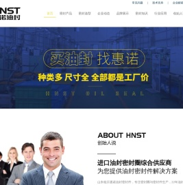惠诺进口油封厂家
