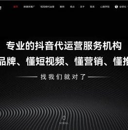 上海抖音代运营