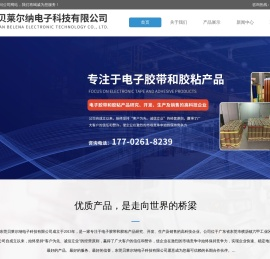 东莞贝莱尔纳电子科技有限公司