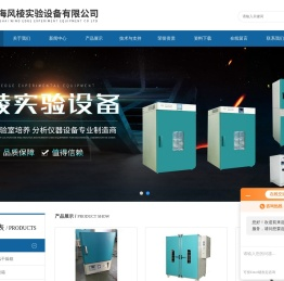 高温电热鼓风干燥箱