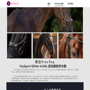 FaySport