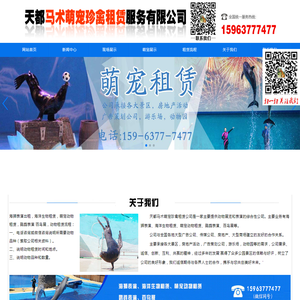 百鸟展