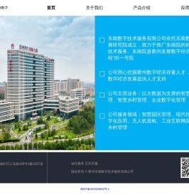 衢州东南数字技术服务有限公司