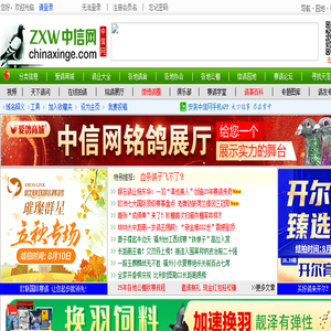中信网