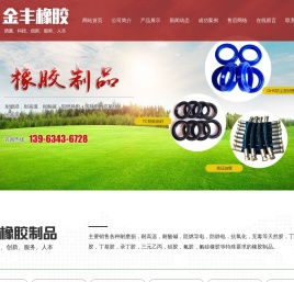 莱芜市莱城区金丰橡胶制品经营部
