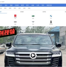 进口车市