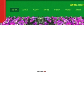 花海专用花卉