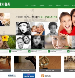 皇家布鲁斯