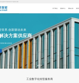 安徽恩悦智能科技有限公司