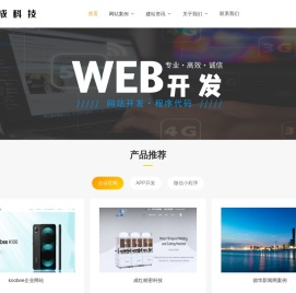 深圳网站开发