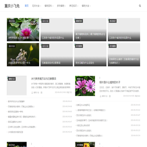 重庆小飞兔电子商务有限公司