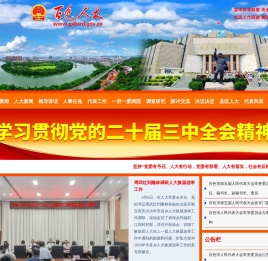 广西百色人大网
