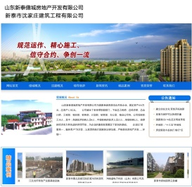 山东新泰