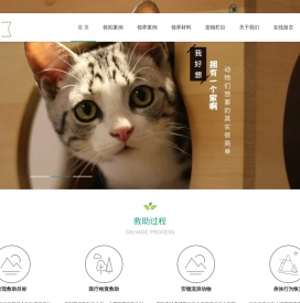 流浪动物之家
