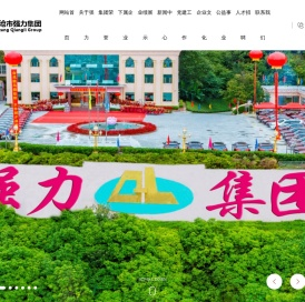 临沧市强力建筑集团有限责任公司