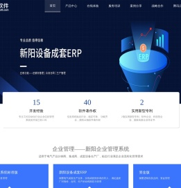 新阳软件官网