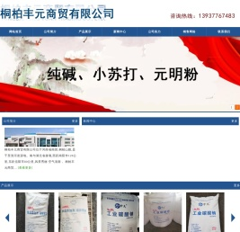 索尔维小苏打