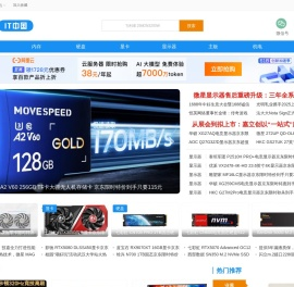IT中国