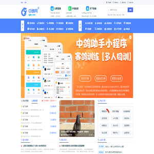 中鸽网