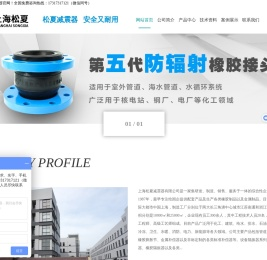 橡胶挠性接头
