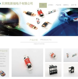 天津凯斯福电子有限公司