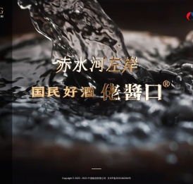 中酒控股有限公司