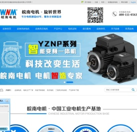 安徽皖南电机股份有限公司