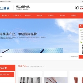 珠江威视电缆