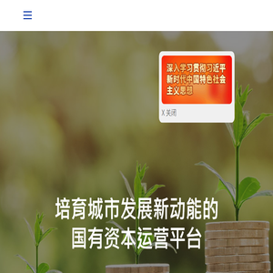 厦门国有资本运营有限责任公司