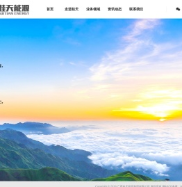 广西桂天能源