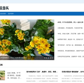 鸿运当头