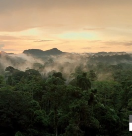 伊佳逸木家具官网