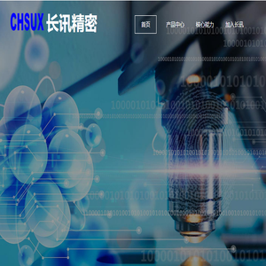 东莞市长讯精密技术有限公司