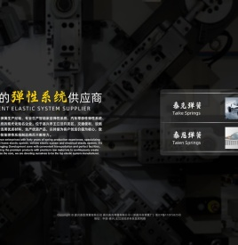 嘉兴泰克弹簧有限公司