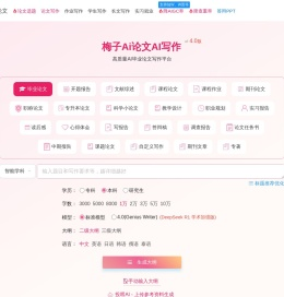 梅子Ai论文