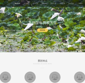 山东林荷旅游文化有限公司